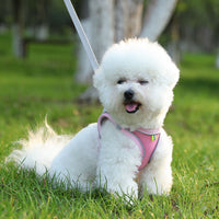 Pet Cat Harness and Leash Set Breathable Vest with Reflective Strip for Kitten Walking Traveling Pink