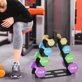 Black Metal 4 Tier A-Frame Dumbbell Rack Multi-Slot Weight Stand