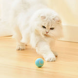 2PCS Interactive Smart Cat Toy Automatic Rolling Ball