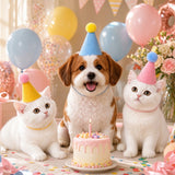 Pet Plush Toy Birthday Party Hat with Adjustable Elastic Photo Prop