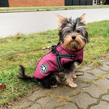 Waterproof Dog Winter Coat with Harness Reflective Warm Dog Jacket with Fleece Lining Purple