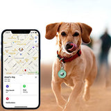 4Pcs For Apple Airtag Case Cover Anti-lost Keychain Ring Protective Case Green