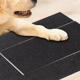 Dog Scratching Post with Food Storage Container Nail Trimmer Interactive Toy
