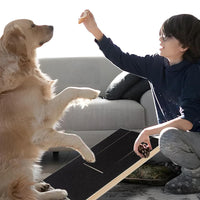 Dog Scratch Pad for Nails Scratching Board with Treat Box