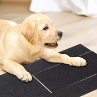 Dog Scratch Pad for Nails Scratching Board with Treat Box