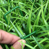 100 PCS 15cm Galvanized U Shaped Garden Landscape Staples