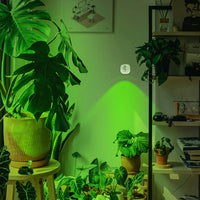 Wireless LED Spotligh Uplighting with 16 Color Changing (White)