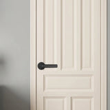 5-in-1 Smart Fingerprint Door Lock with IC Cards Keys and Door Knob Black