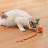 Interactive Cat Toy Ball Fast Rolling Motion Activate Cat Toy Red