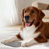 2 PCS Dog Lick Mat Slow Feeder with Suction Cups