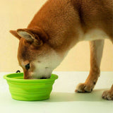 2-Pack Foldable Collapsible Pet Bowls for Dogs and Cats