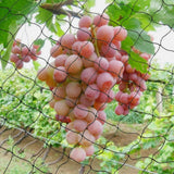 Nylon Bird Netting 22x5m for Garden Fruit Tree Crop Protection