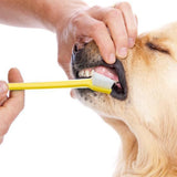 10PCS Pet Toothbrush Dual End Long Handle for Dogs Cats