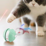 Electric Automatic Moving Rolling Dog Toy Interactive Dog Ball Toy Green