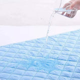 2Pcs Reusable Large Urine Mat Water Resistant Nappy Diaper Changing Pad Blue