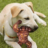 Indestructible Nylon Dog Chew Toy for Aggressive Chewers