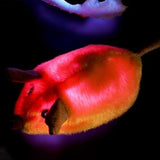 Squeaky Escaping Mouse Toy Light-up Auto Moving Rechargeable Interactive Cat Toy Yellow