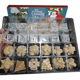 24PCS Brain Teaser Christmas Advent Calendar with 3D Stainless Steel & Burr Puzzles