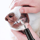 Ultrasonic Pet Plaque Remover – Electric Teeth Cleaner for Dogs and Cats