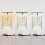 Rechargeable Wireless LED Wall Picture Light with Motion Sensor for Art Gold