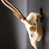 6Pcs European Mount Skull Wall Hanger Hook Deer Antelope Antler Mount Bracket