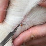 12 in 1 Stainless Steel Tick Removal Tool Kit for Dogs Cats