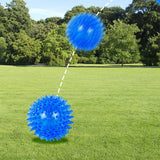 6Pcs Squeaky Dog Toy Balls Floating Pool Fetch Toys for Puppies