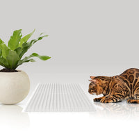 10PCS Cat Spike Mats – Indoor & Outdoor Pet Training and Deterrent Mat Set