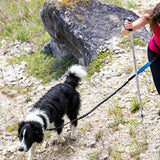 2 in 1 Double Leash for Dogs No Tangle Bungee Dog Leash Reflective Comfortable Padded Handles Blue