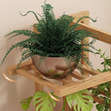 Bamboo Flower Shelf Rack Plant Stand Pots Display Corner Shelving Home Decor