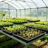 10 PCS Square Fine Hole Seedling Trays for Propagation and Hydroponics