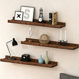 Vinyl Wall Display No Drill for Record CD Storage and Display Shelf