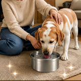 Floating Pet Water Food Bowl 304 Stainless Steel with Removable Plate