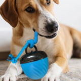 Squeaky Rolling Ball Dog Toy – Interactive Motion-Activated Chew Toy for Dogs Blue