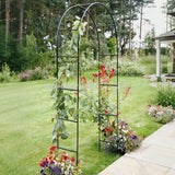 Powder Coated Garden Arch Support for Climbing Plants Vines