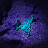 395nm Mini Pen Light with Clip for Leak Pet Urine Scorpion