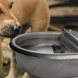 304 Stainless Steel Cattle Water Bowl 4L Automatic with Drain Hole