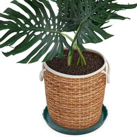 12Pcs Round Plastic Plant Saucers – Durable Flower Pot Trays for Indoor & Outdoor Garden