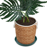 12Pcs Round Plastic Plant Saucers – Durable Flower Pot Trays for Indoor & Outdoor Garden