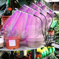 Grow Light for Indoor Plants, Red Blue Spectrum with 9 Dimmable Levels
