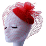 Birdcage Veil Bridal Headpiece Vintage Mesh Rose Hair Accessory Red