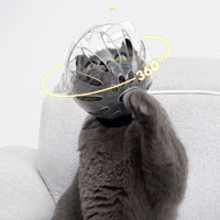 Transparent Cat Hood Astronaut Helmet Muzzle Mask Preventing Biting and Licking