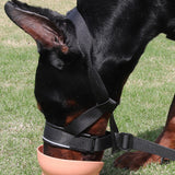 Adjustable Dog Head Collar with Padded Nose Loop for Gentle Control and Training