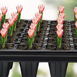 10-Pack Deep Cell Seed Starter Trays for Plant Nursery and Gardening
