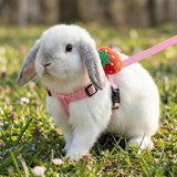 4Pcs Adjustable Bunny Rabbit Harness and Leash Set Small Pet Cute Vest Harness Leash for Bunny Small Pets