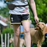 Pet Dog Silicone Training Treat Bag with Clip Pet Feeder Black