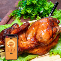 Bluetooth Smart Meat Thermometer Wireless Dual Sensors Probe for Oven Grill Rotisserie