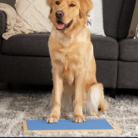 Wooden Dog Nail Scratch Board Pet Paw Nail File Pad Grinding Safety Nail Trimmer Trainer Blue