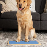 Wooden Dog Nail Scratch Board Pet Paw Nail File Pad Grinding Safety Nail Trimmer Trainer Blue