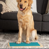 Wooden Dog Nail Scratch Board Pet Paw Nail File Pad Grinding Safety Nail Trimmer Trainer Green